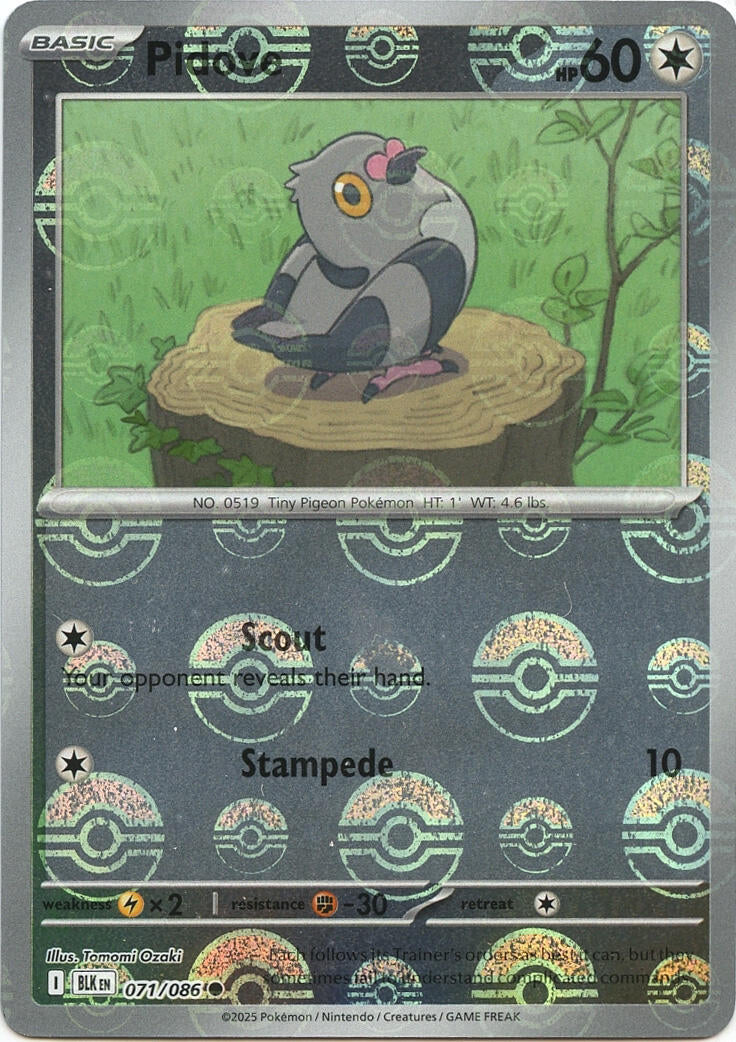 Pidove (071/086) (Poke Ball Pattern) [Scarlet & Violet: Black Bolt]