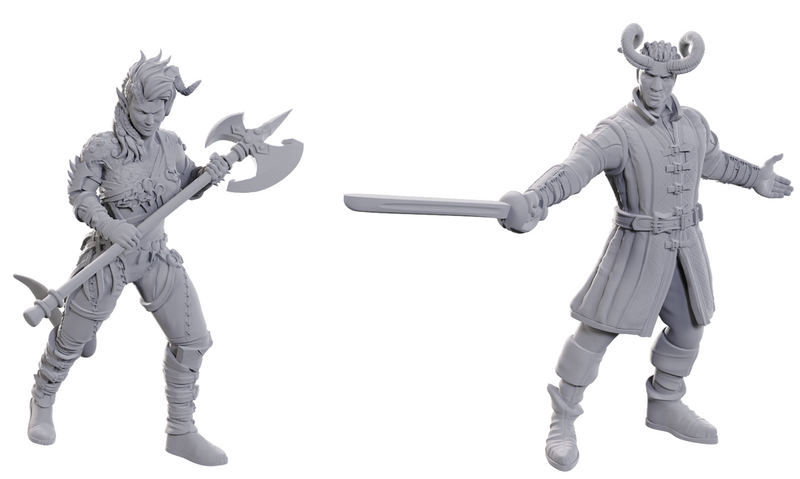 Dnd Unpainted Minis Special Edition - Baldur's Gate 3 - Wyll & Karlach