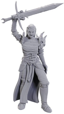 Nolzur's Marvelous Miniatures: Blackguard
