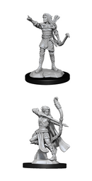 Nolzur's Marvelous Miniatures: Elf Ranger Female