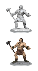 Nolzur's Marvelous Miniatures: Cyclops