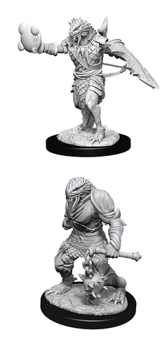 Nolzur's Marvelous Miniatures: Male Dragonborn Paladin