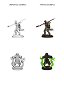 Nolzur's Marvelous Miniatures: Human Male Druid