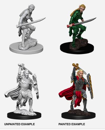 Nolzur's Marvelous Miniatures: Female Elf Fighter