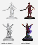 Nolzur's Marvelous Miniatures: Tiefling Warlock (Male)