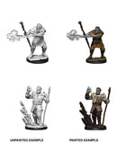 Nolzur's Marvelous Miniatures: Male Firbolg Druid