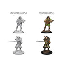 Nolzur's Marvelous Miniatures: Human Male Bard