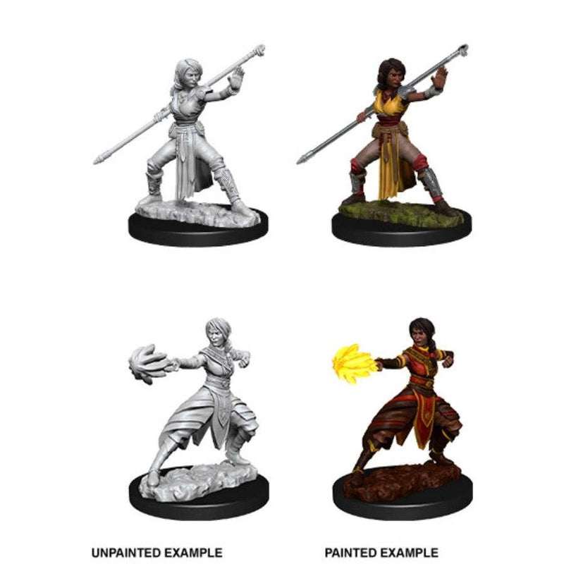 Nolzur's Marvelous Miniatures: Female Half-Elf Monk