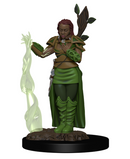 Icons of the Realms: Human Female Druid