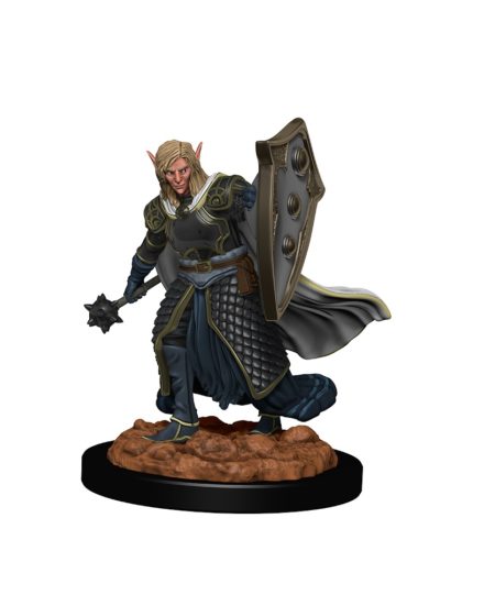 Icons of the Realms: Elf Male Cleric