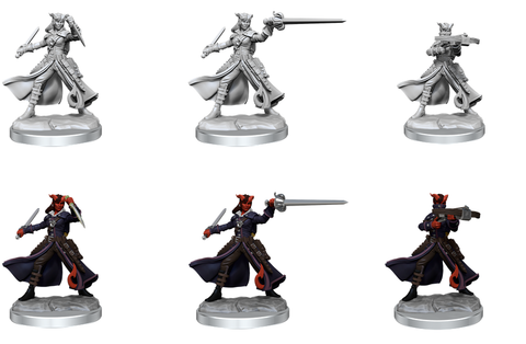 Dungeons & Dragons Frameworks: Tiefling Rogue Female