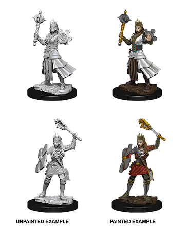 Nolzur's Marvelous Miniatures: Female Human Cleric