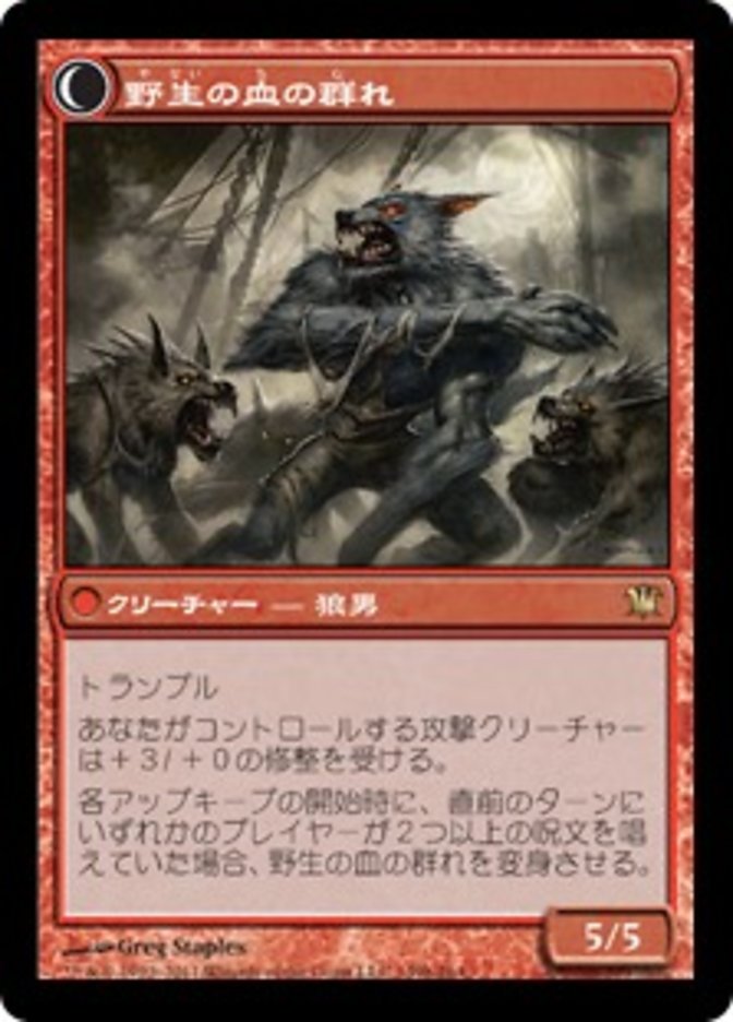 Instigator Gang // Wildblood Pack [Innistrad] (Japanese)