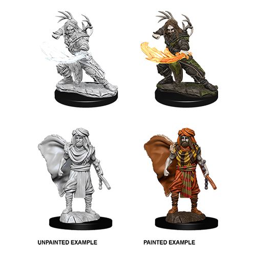 Nolzur's Marvelous Miniatures: Human Druid (Male)