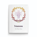 Triumvene: A Narrative-Focused RPG