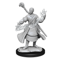 Nolzur's Marvelous Miniatures: Half-Elf Wizard Male