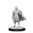 Nolzur's Marvelous Miniatures: Autumn and Summer Eladrin